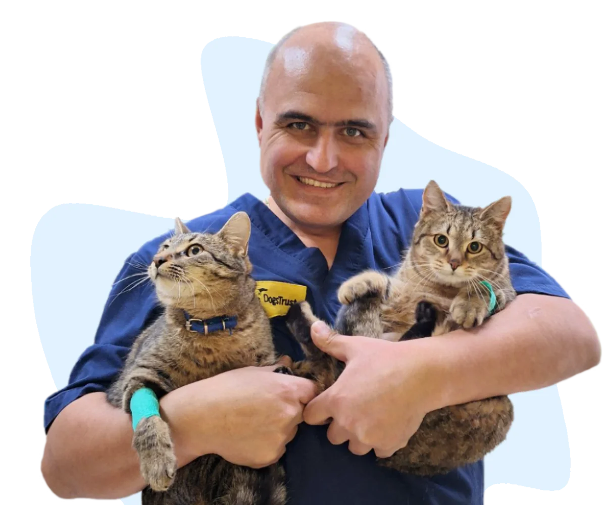 Vet Centar Banja Luka