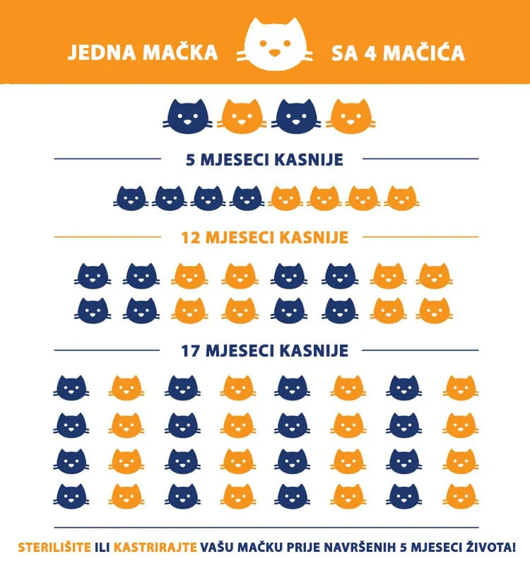 Program rane sterilizacije i kastracije mačaka